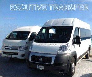 eXECUTIVE TRANSFER