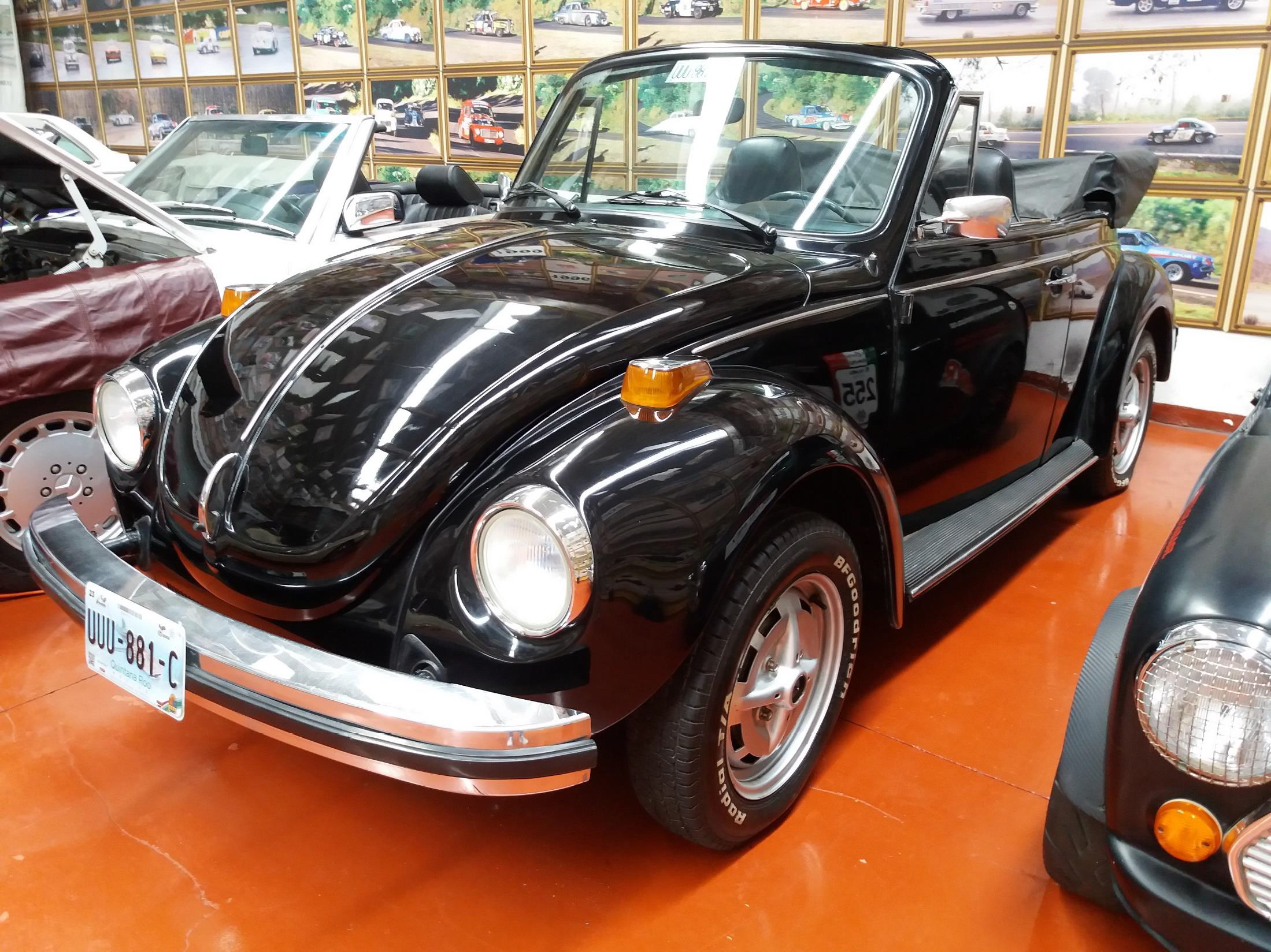 Bettle